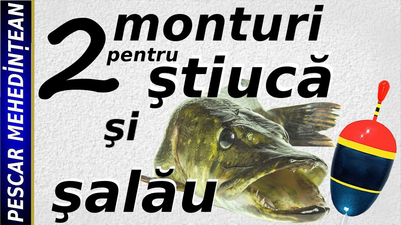 Monturi pentru stiuca si salau