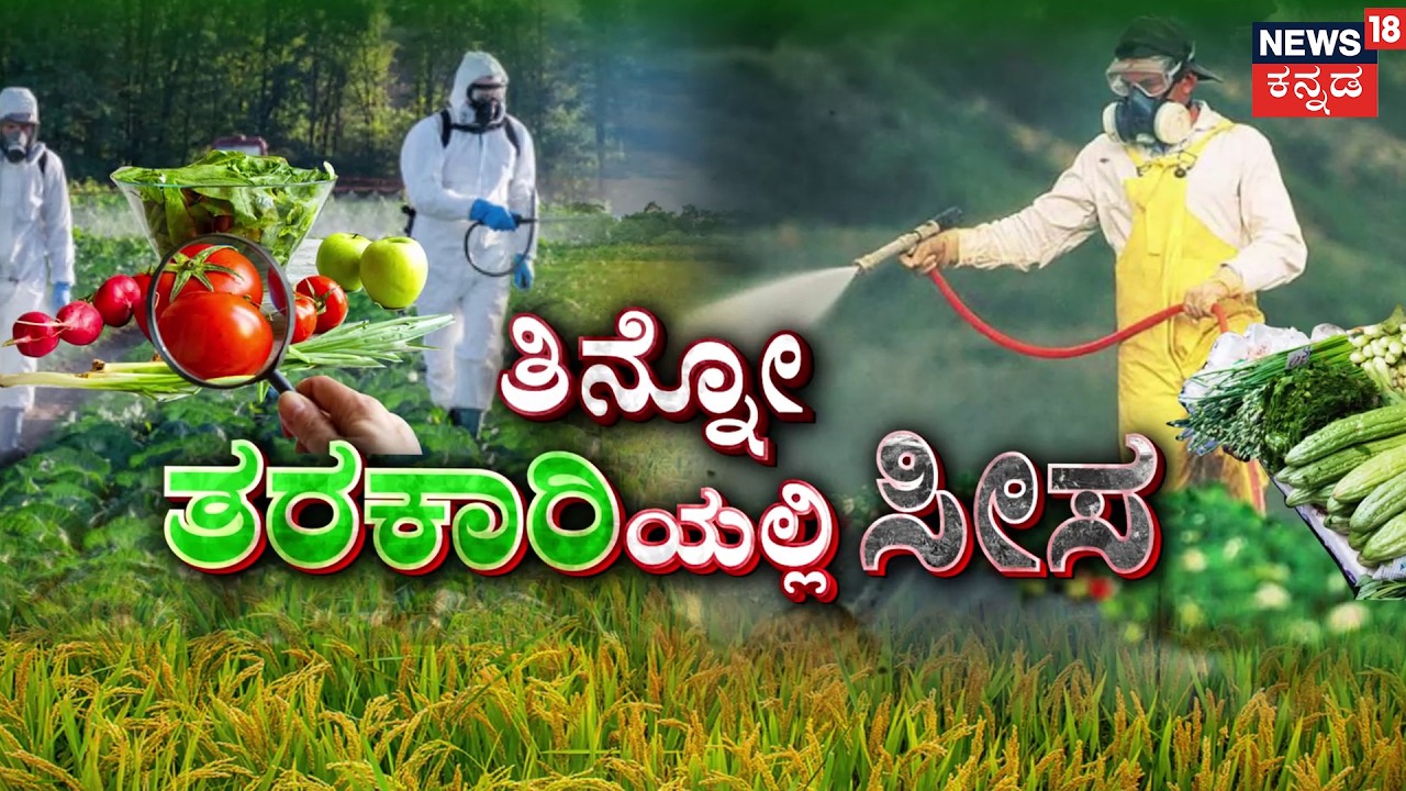 Vegetables in Bengaluru Found Toxic! | ತರಕಾರಿ ಪ್ರಿಯರೇ..ಎಚ್ಚರವಹಿಸಿ! | CPCB Health Alert