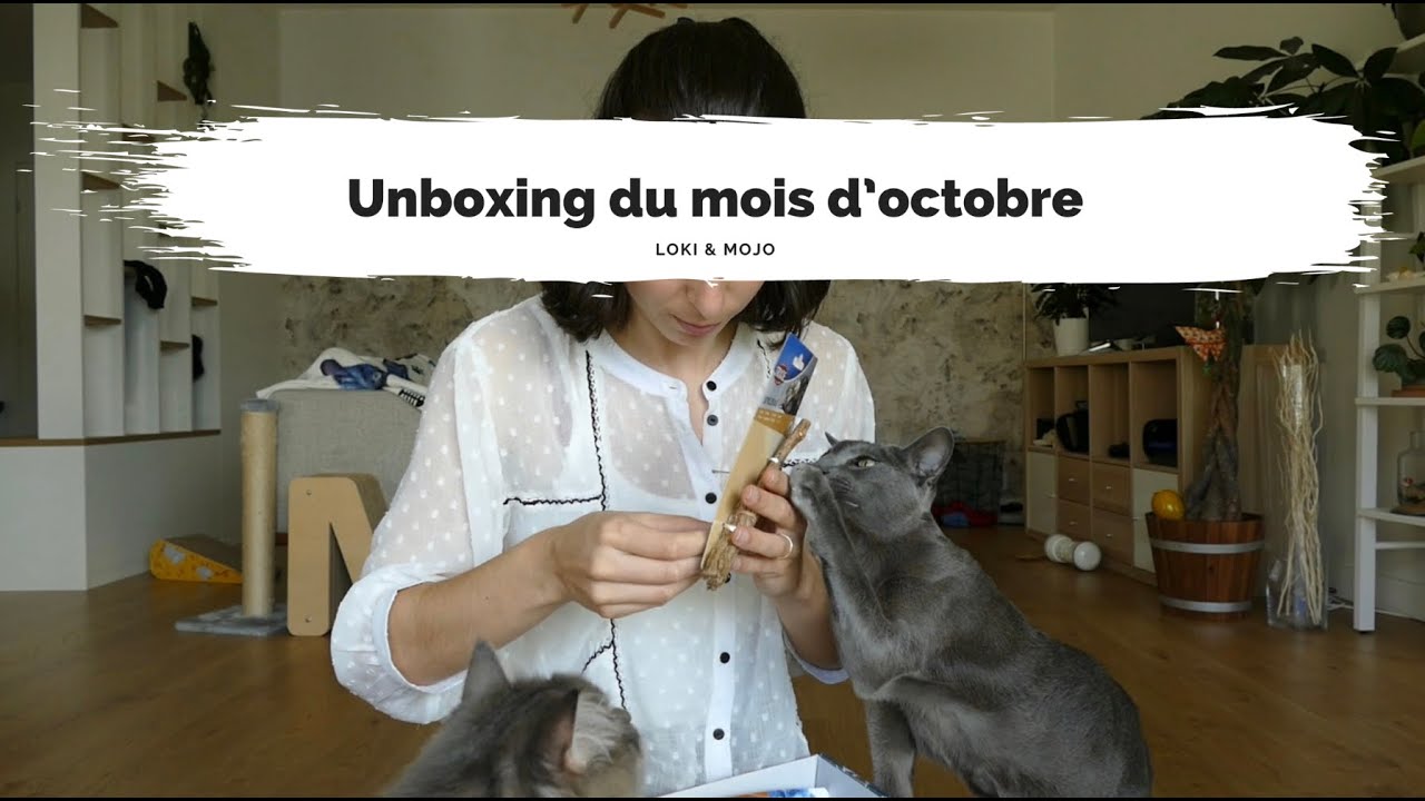 Unboxing du mois d’octobre : aspirateur, box d’Halloween et sac de transport de ouf - Loki & Mojo