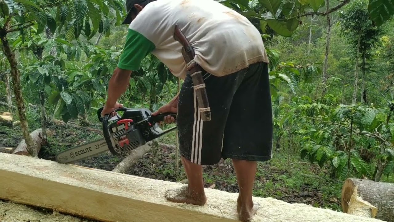 Test Drive Belah Kayu Chainsaw Ecolite