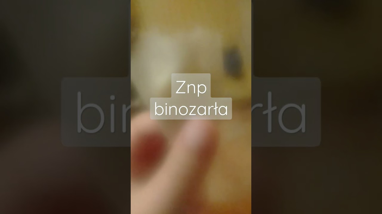 7 sierpnia 2022
