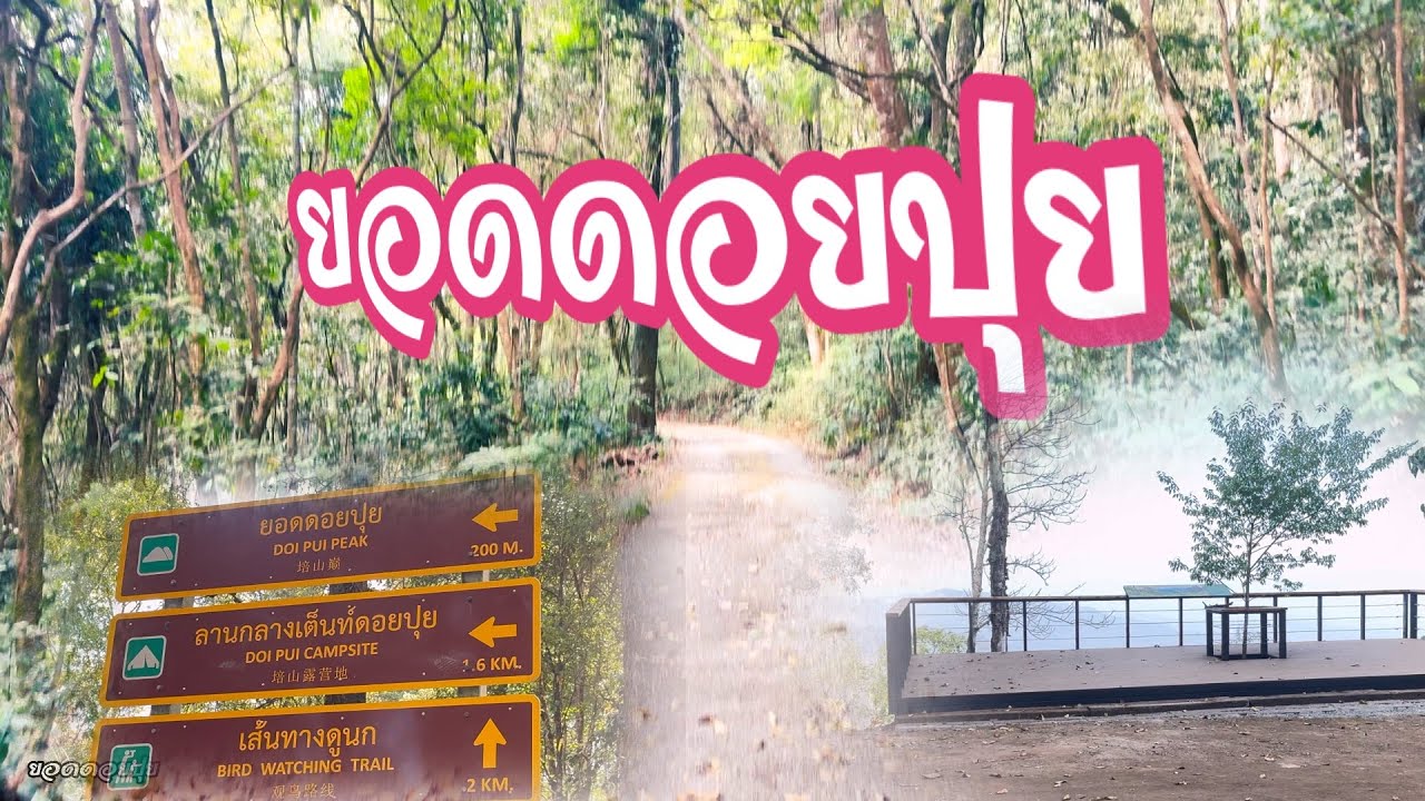 ยอดดอยปุย เชียงใหม่ เดินไกลกว่าที่คิด…แล้ววิวอยู่ไหน!? ปี 2569