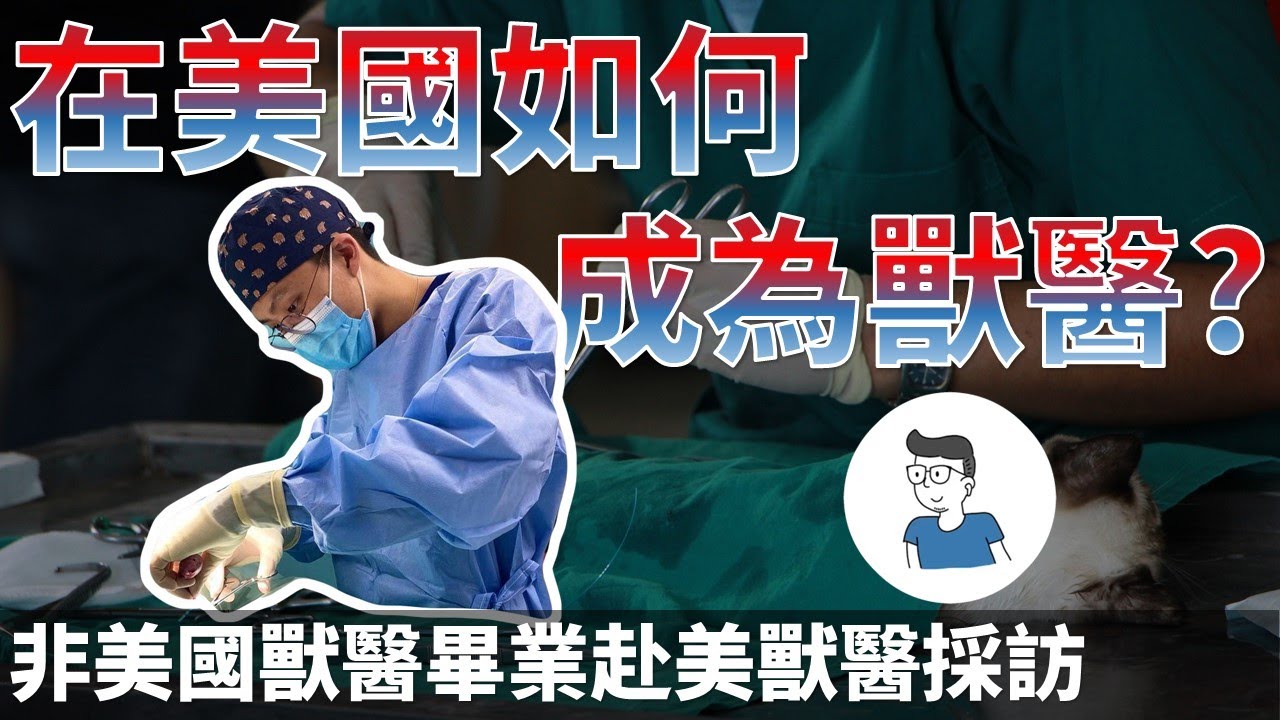 非美國學歷如何在美國如何成為獸醫? 想不到薪資待遇差這麼多 美國獸醫訪談