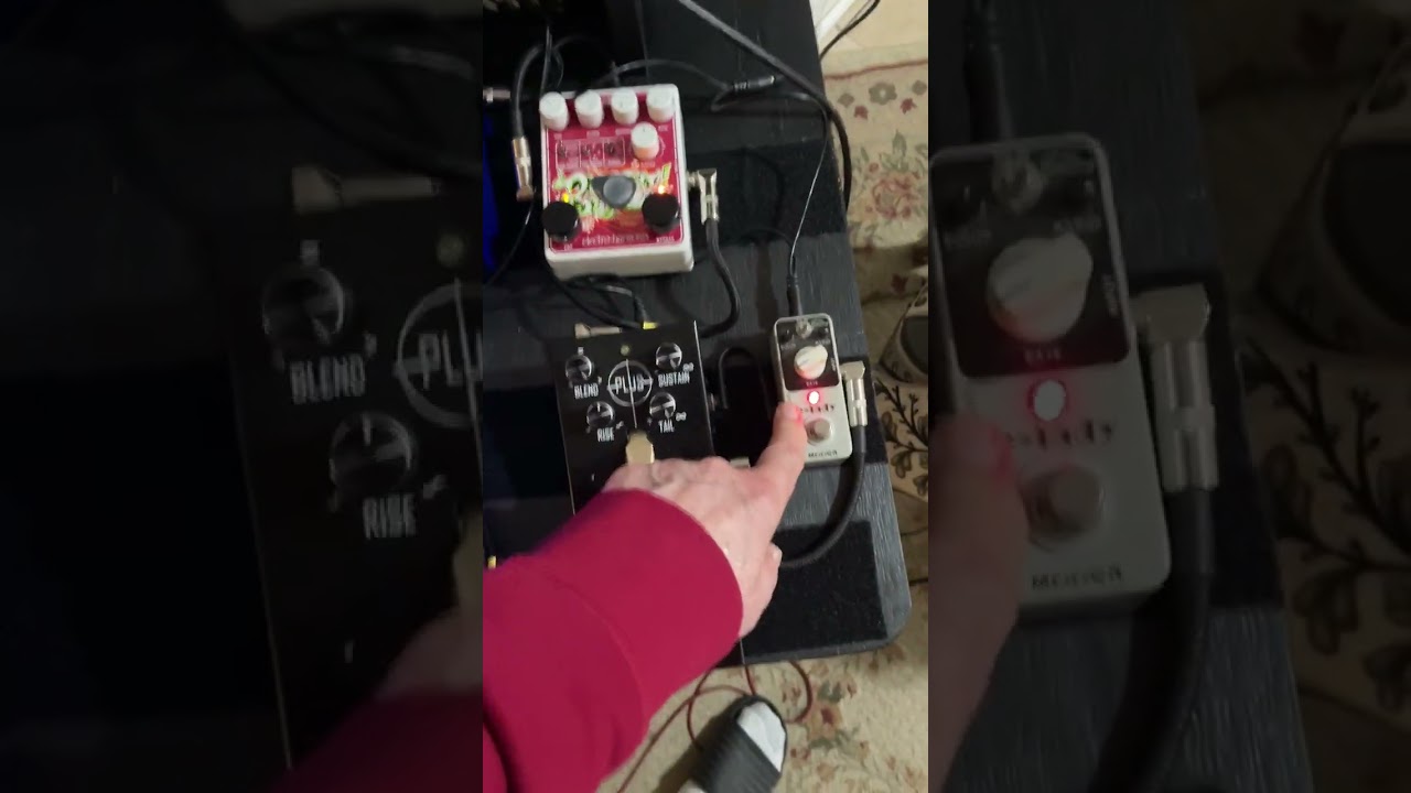 My main SYNTH/LOOPER pedalboard 