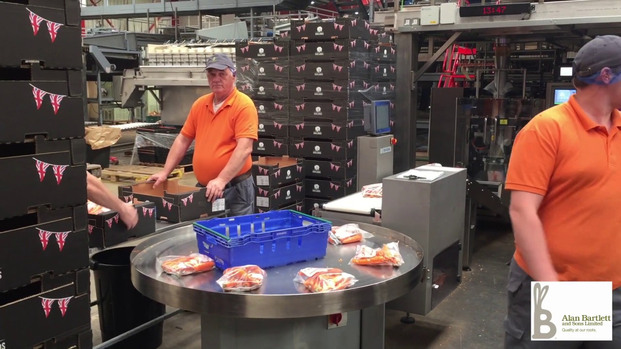 Kids Country - Alan Bartlett and Sons, Carrot Washing and Packing   Z10