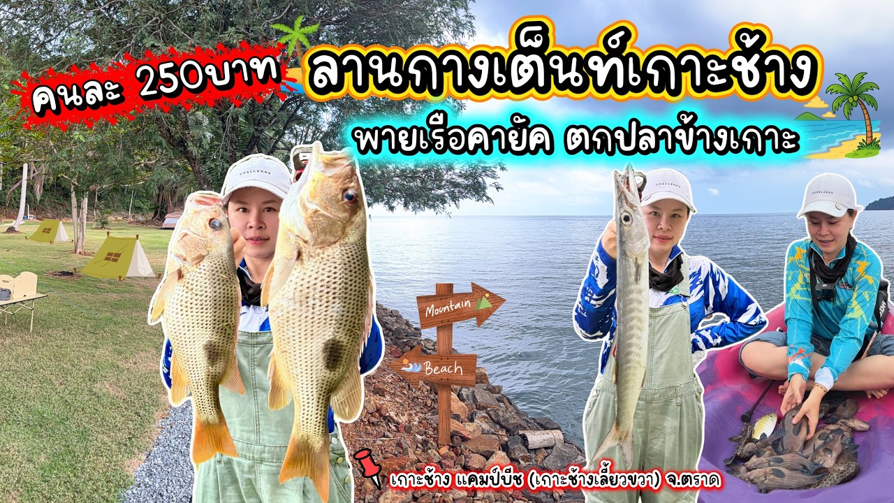 คนละ 250บาท!! ลานกางเต้นท์เกาะช้างเปิดใหม่ มีที่ตกปลา ตกหมึก (เกาะช้าง แคมป์บีช)