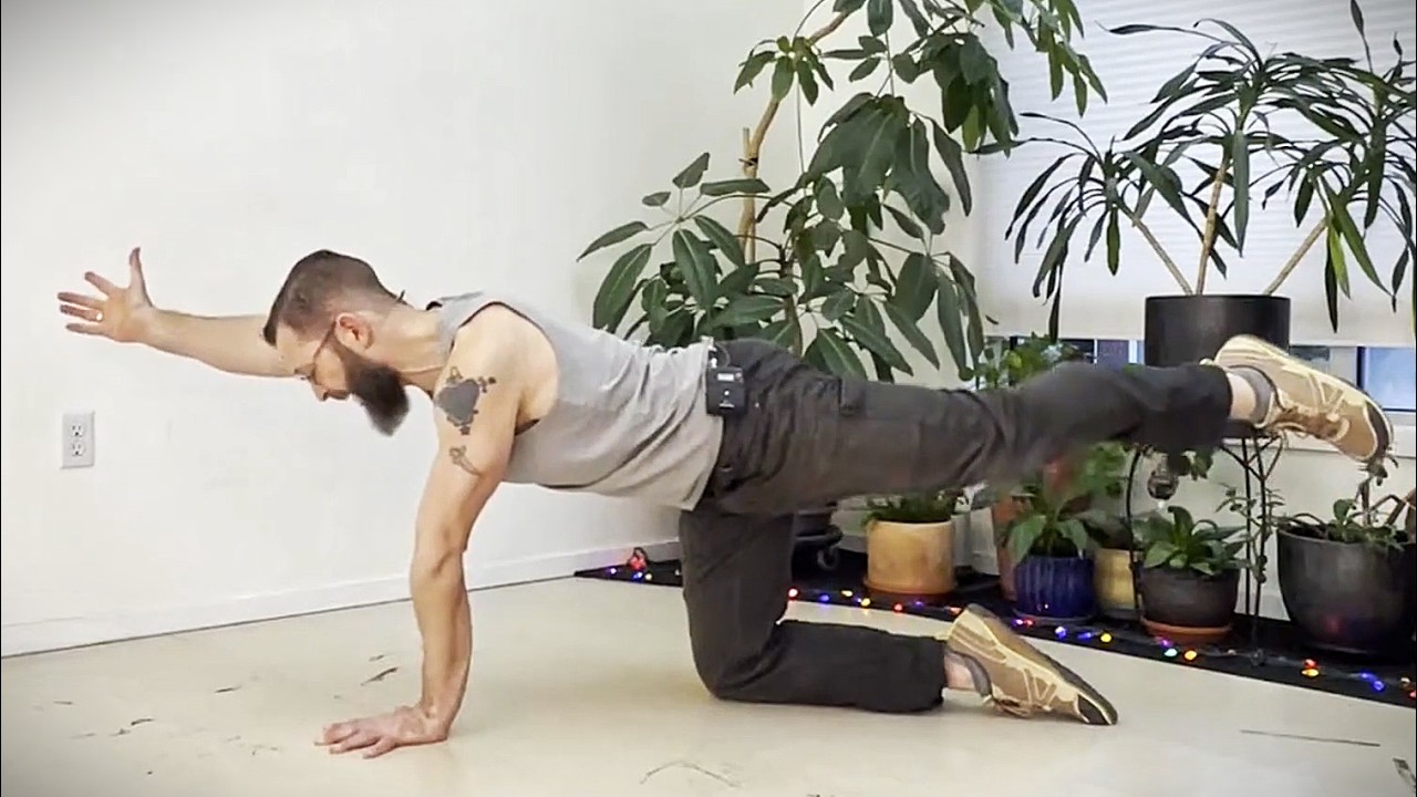 Bird Dog / Spinal Balance (Mobility in Work Clothes)