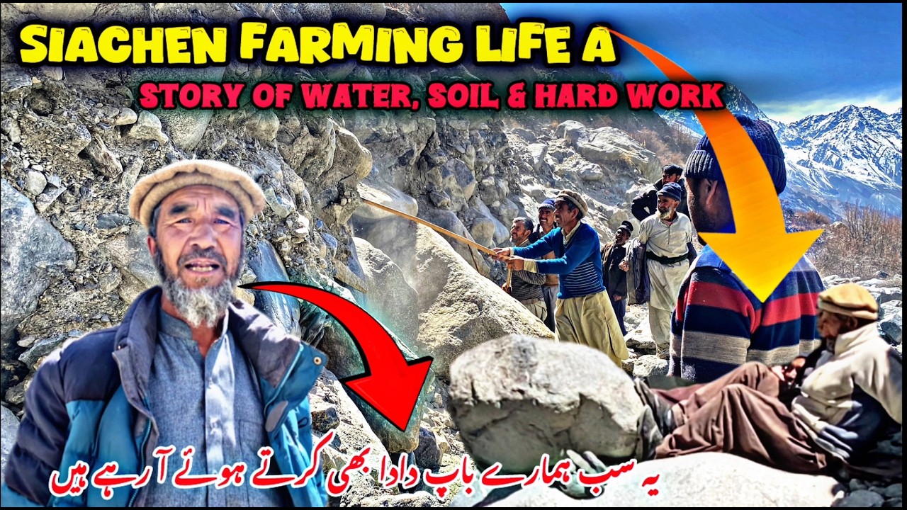 Hard Life of Farming in Siachen | Water Fields Struggles Ep1