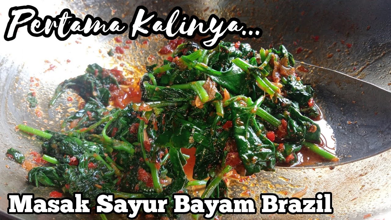 PERTAMA KALI MAKAN INI ⁉️RESEP SAYUR BAYAM BRAZIL ENAK