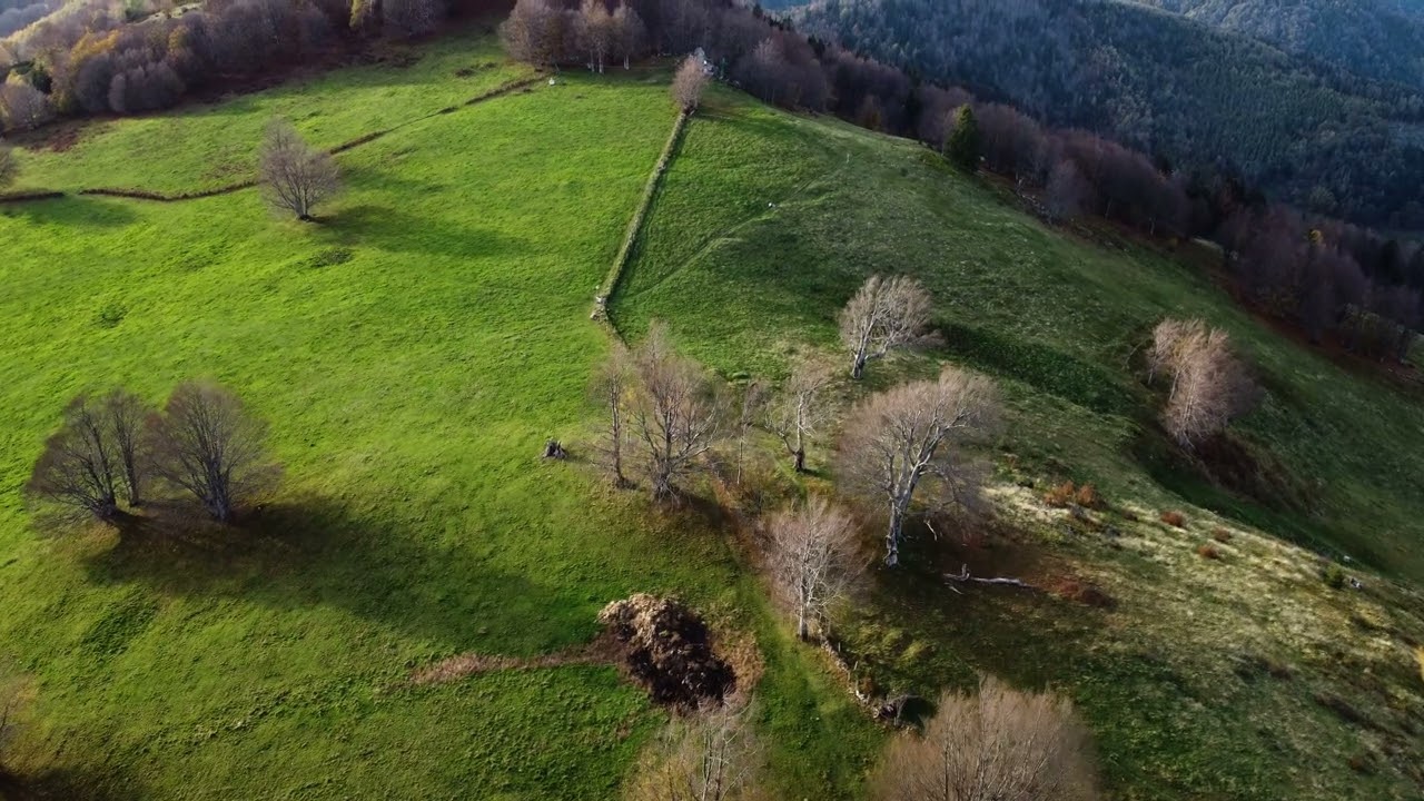 FLIGHT OVER THE VALLEY || 4K CINEMATIC DRONE