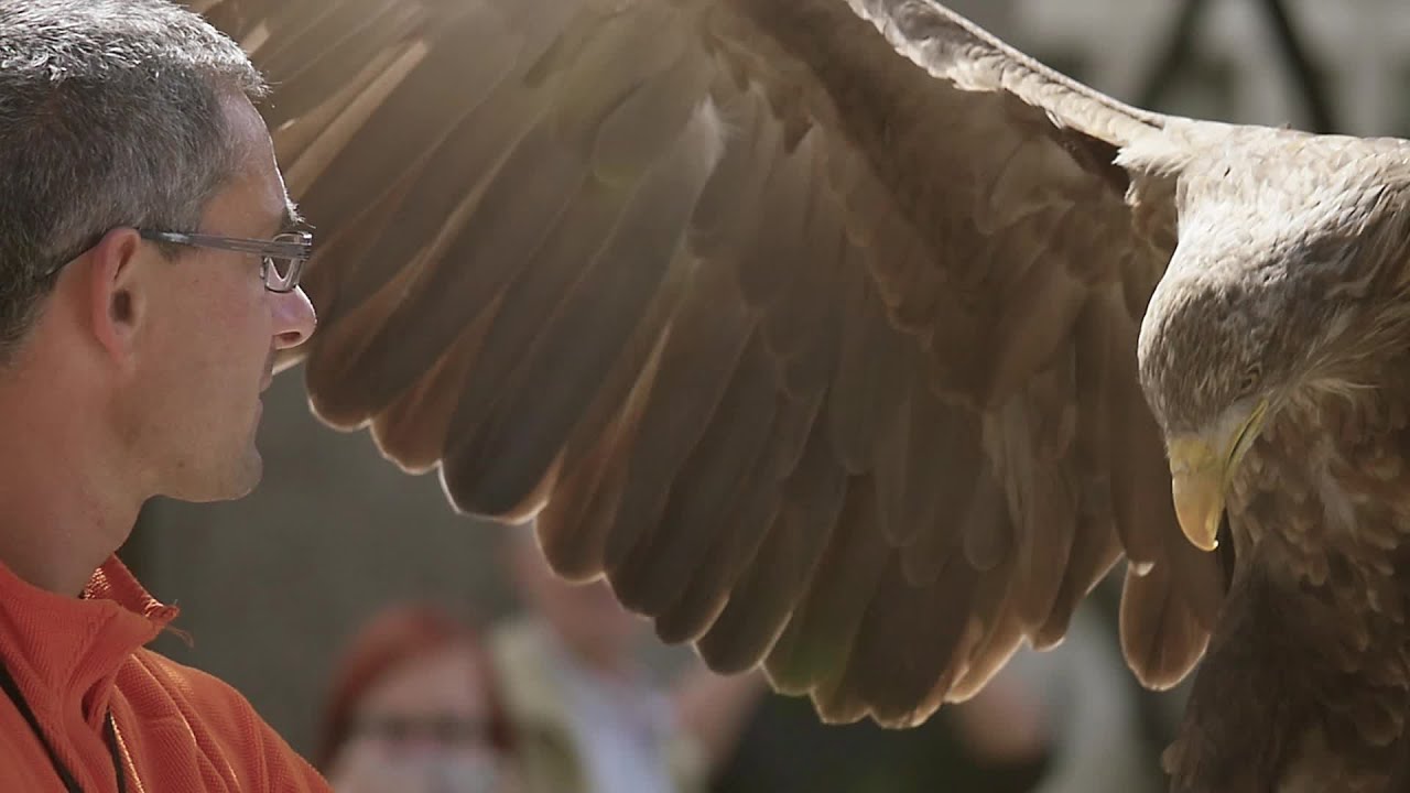 The making-of Rhine River flight