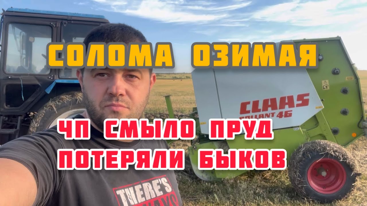 claas 46 солома озимая