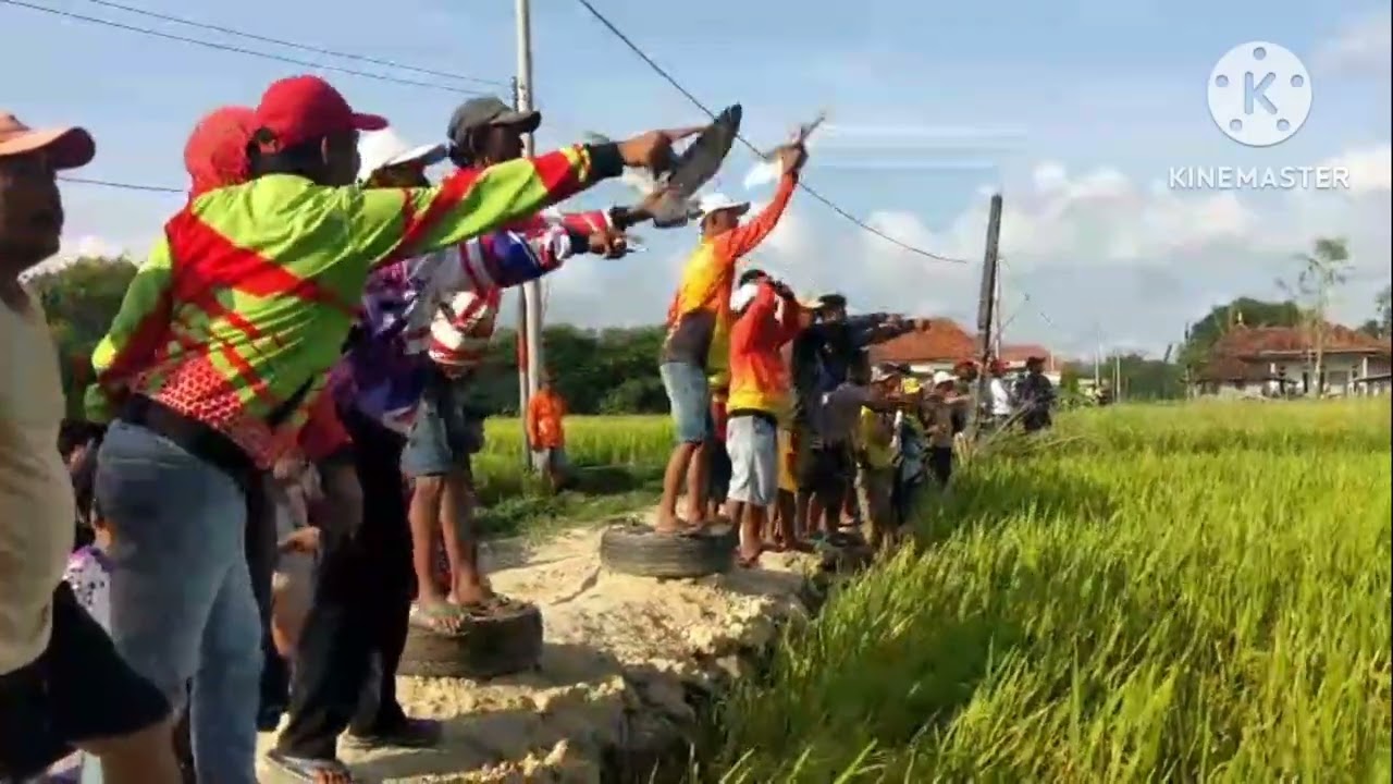 Ajang silaturahmi para pengemar lomba balap merpati