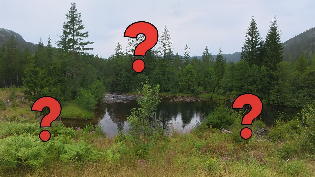 Trout Bonanza in Norwegian River, Final Part