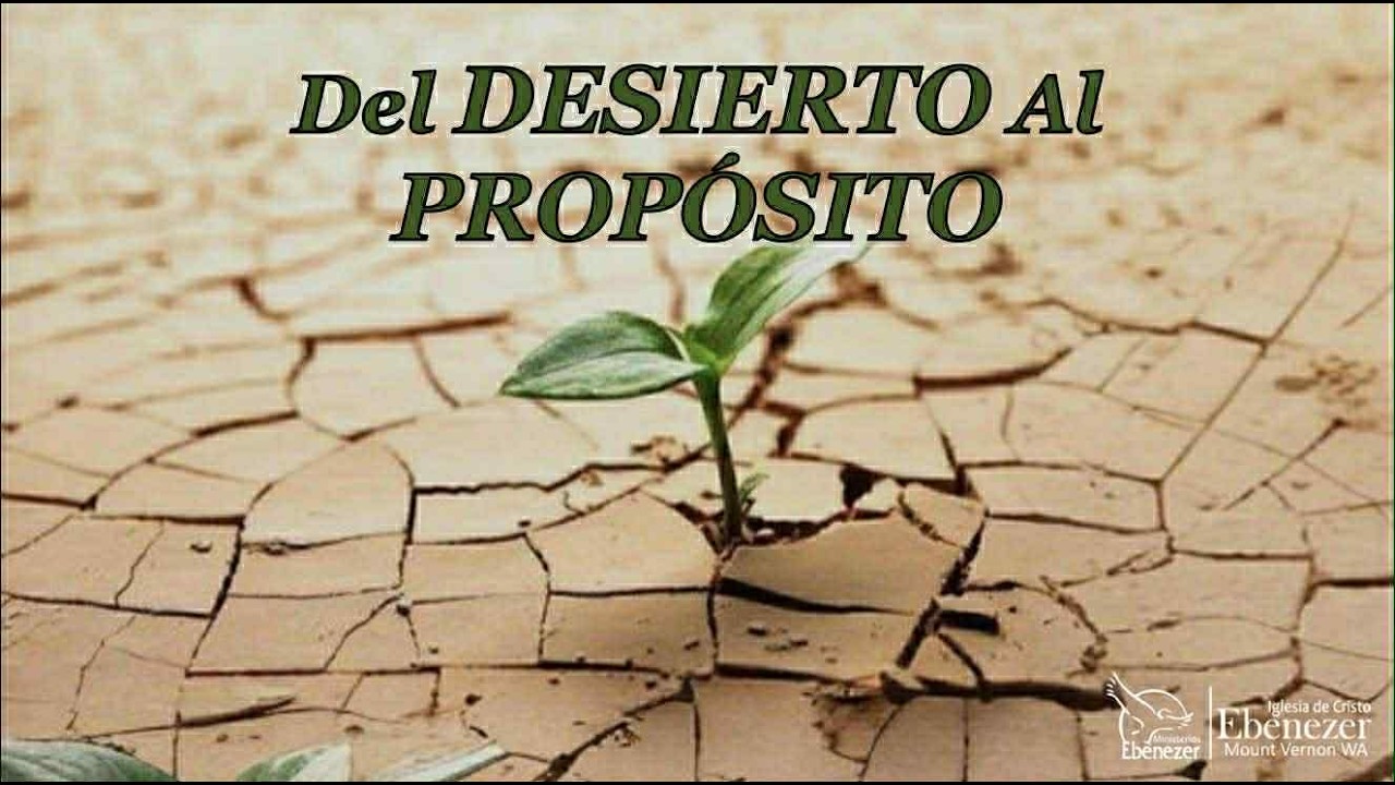 Domingo Febrero 08, 2026 | Del Desierto Al Proposito | Pastor Wilfredo Briceño