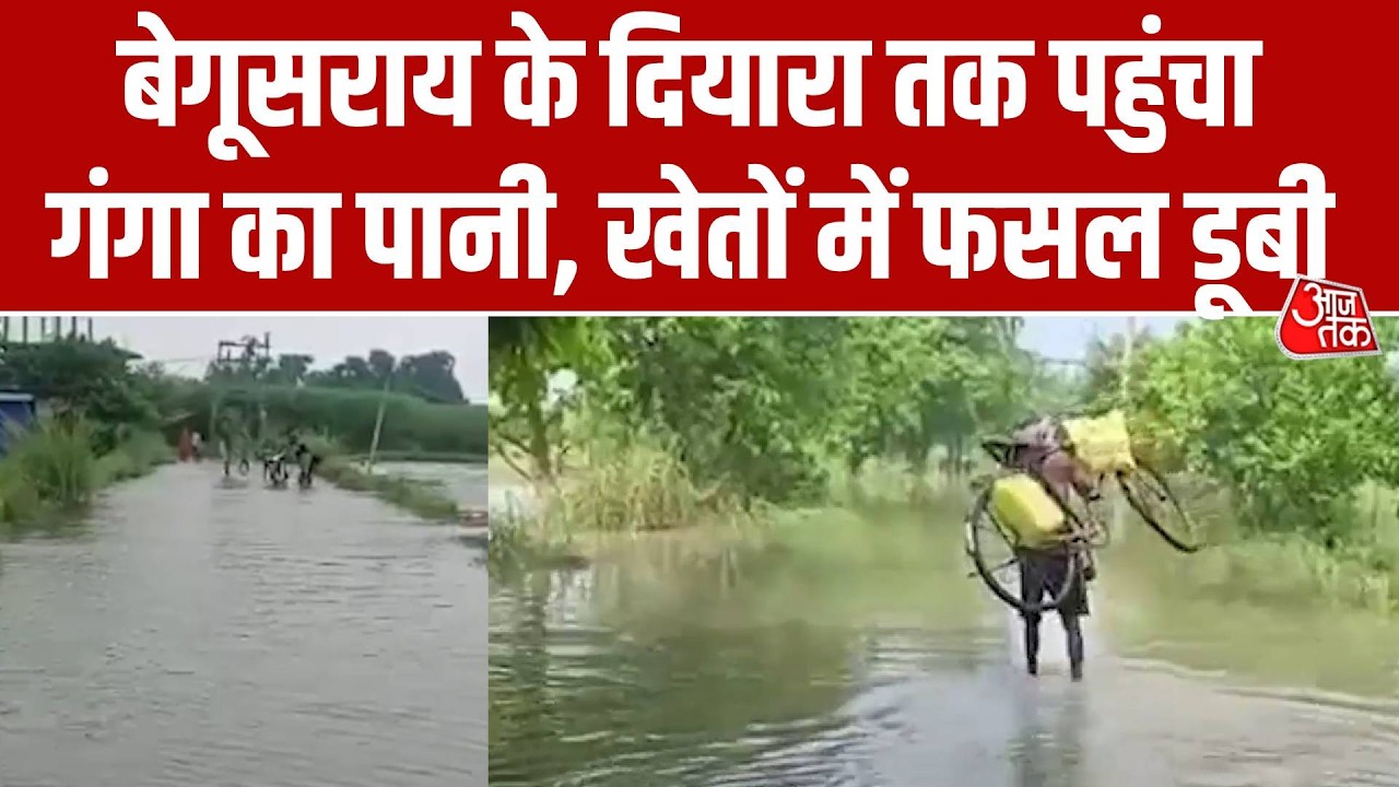 Flood Update: Bihar के बेगूसराय में दियारा तक पहुंचा गंगा का पानी, खेतों में फसलें डूबी