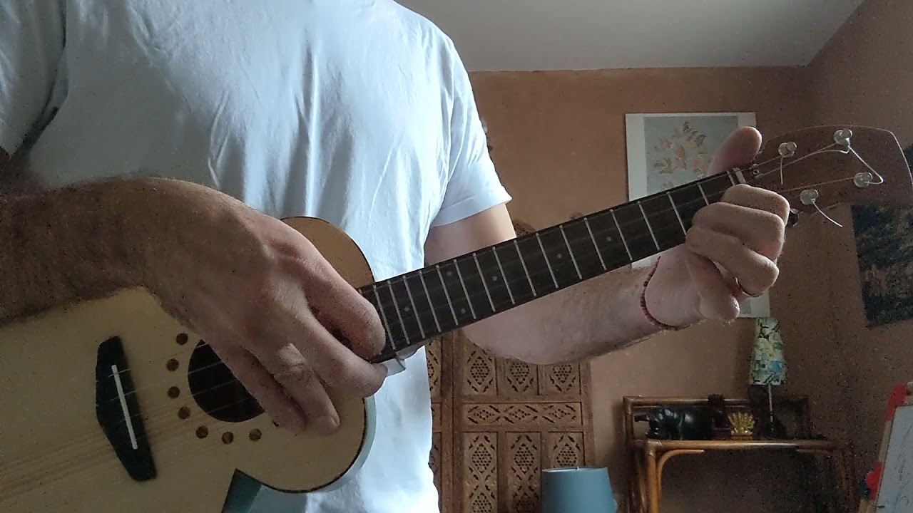 ukul&eacute;l&eacute; tenor caravellekitchen