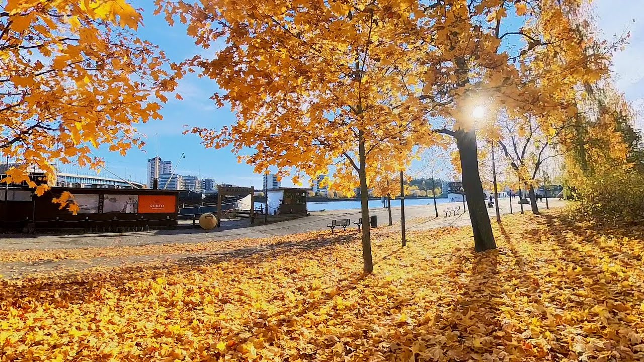 Kuljetaan Joensuussa ruskan koristelemassa ympäristössä. | We will travel in Joensuu in the fall.