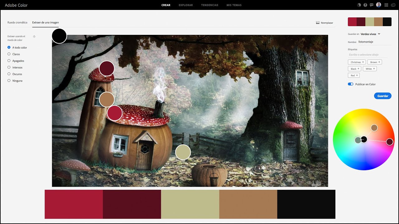 Crea una paleta de colores a partir de una fotografía con Adobe Color