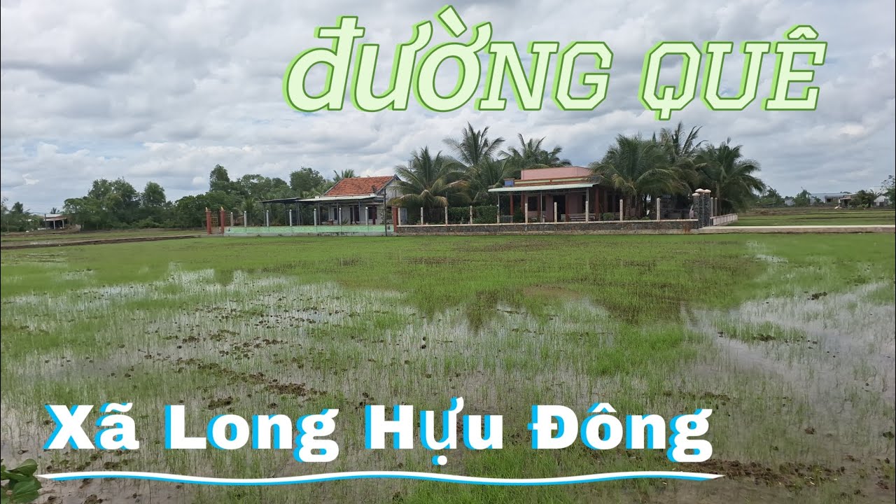 Khám Phá Đường Nông Thôn Xã Long Hựu Đông Huyện Cần Đước. Tỉnh Long An