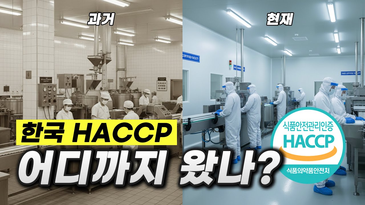 하루아침에 무너진 식품업계, 그 위기를 바꾼 HACCPㅣ한국 HACCP의 역사ㅣ알쓸식잡 ep.8