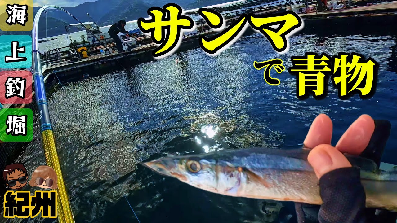 【海上釣堀】どうしても青物を釣りたい女の執念│新年初釣りin紀州