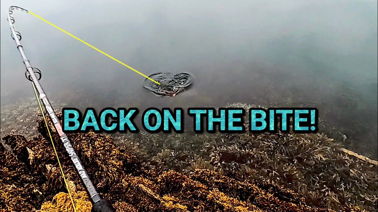 Shore jigging in arctic Norway!