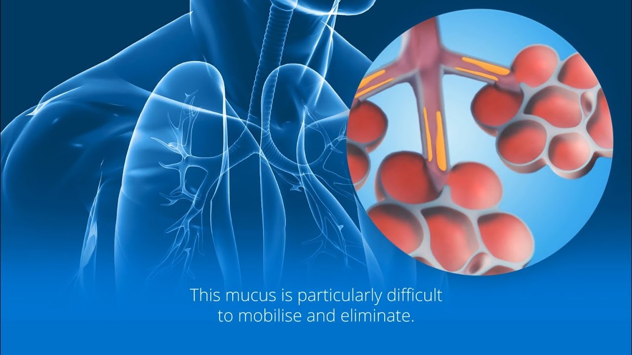 Simeox Technology - PhysioAssist