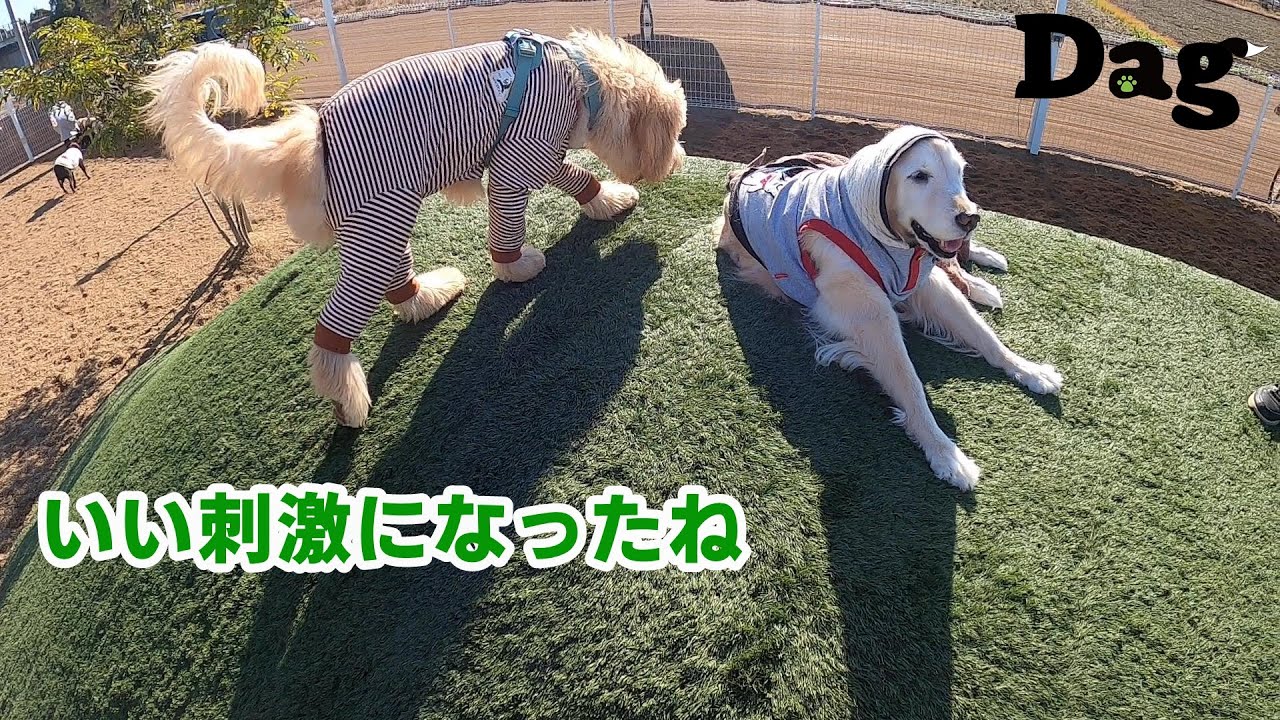 【Dag】でランチ＆ランで遊びました。