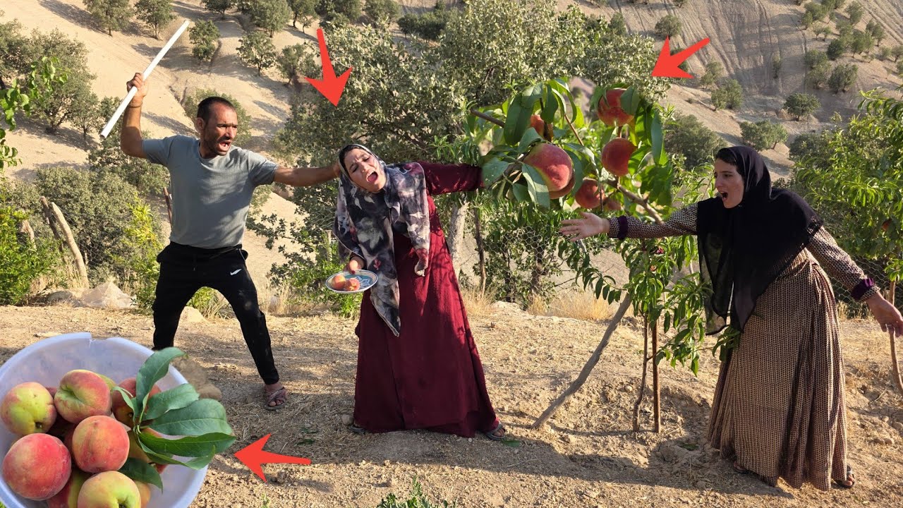 The husband prevents the second wife from picking peaches and supports the first wife, who is ill.
