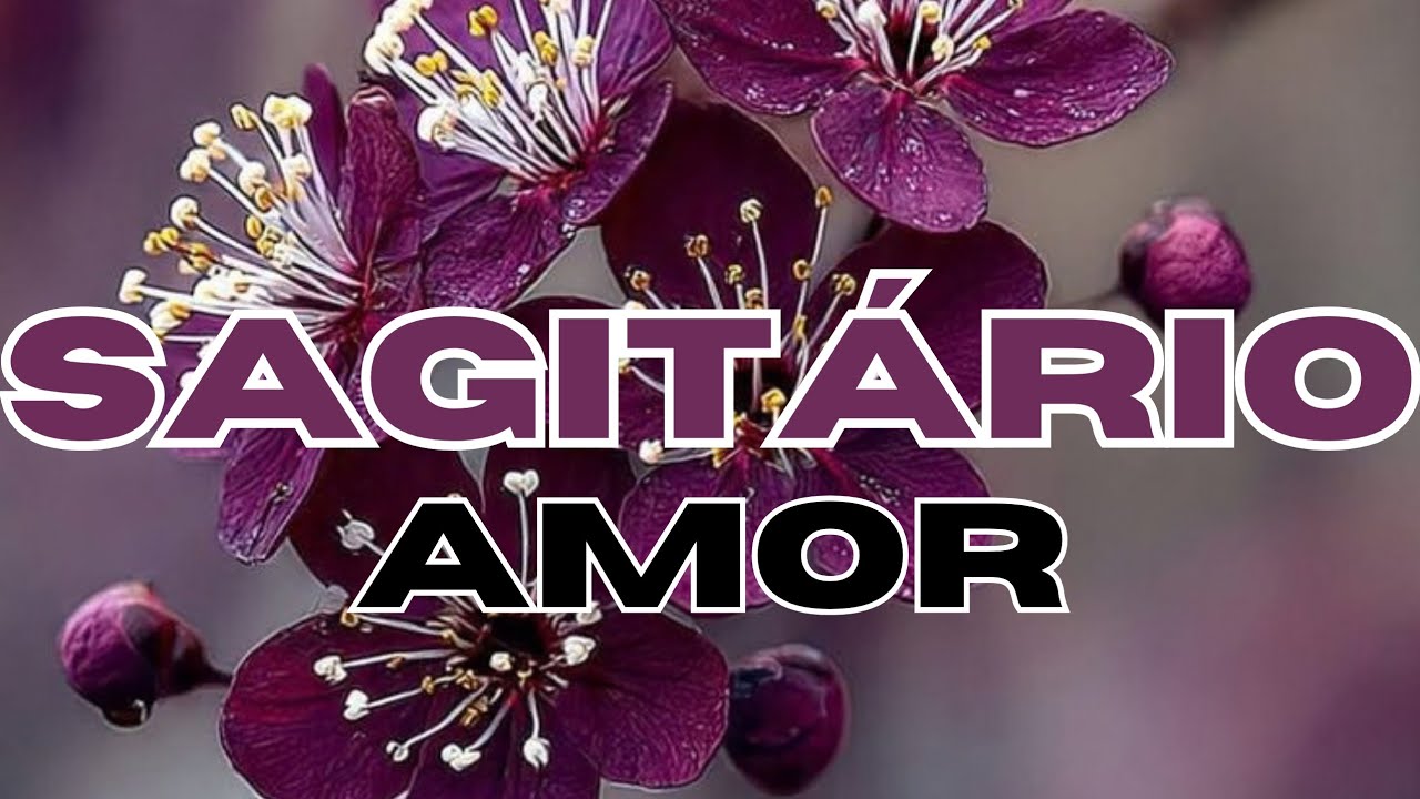 ♐SAGITÁRIO♐AMOR♥️REI E RAINHA DE PAUS. UMA UNIÃO ESPIRITUAL.👑♣️💫♥️🥰😍