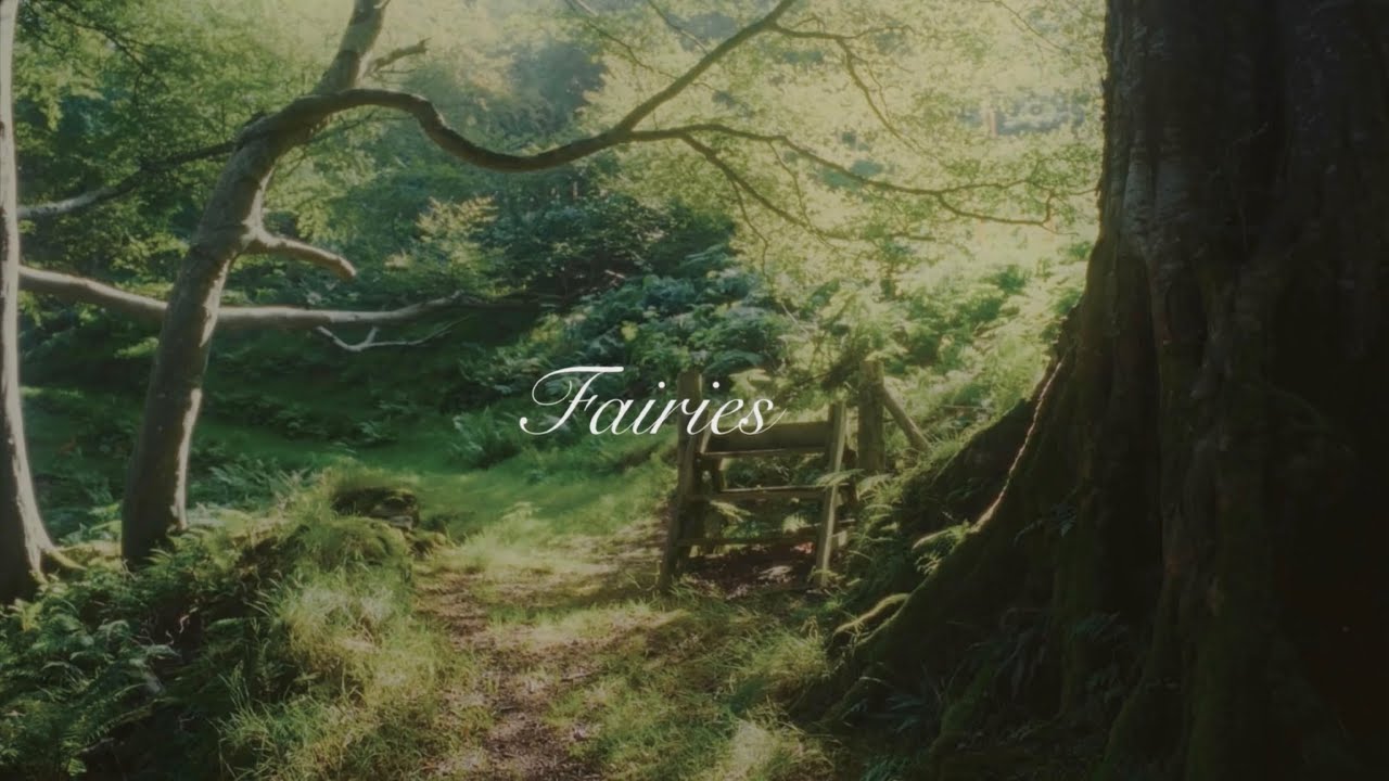 DIMILA - Fairies (Official Video)