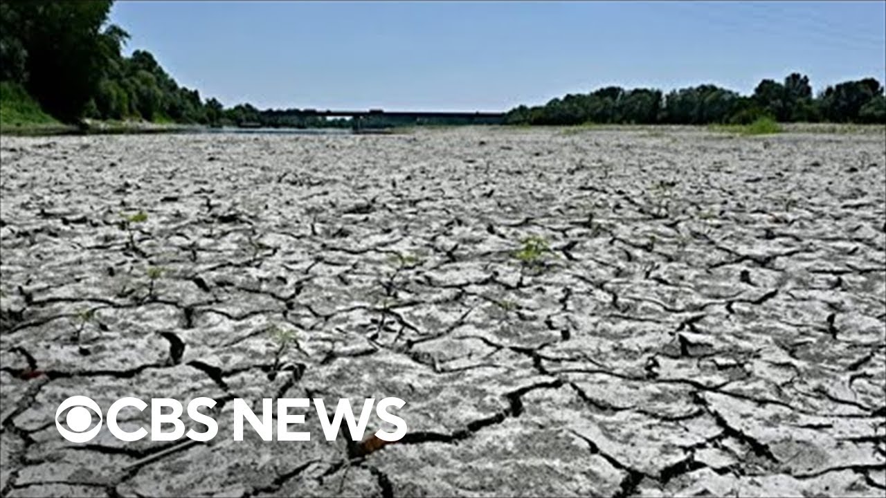 Italy faces historic drought threatening olive oil, other food exports