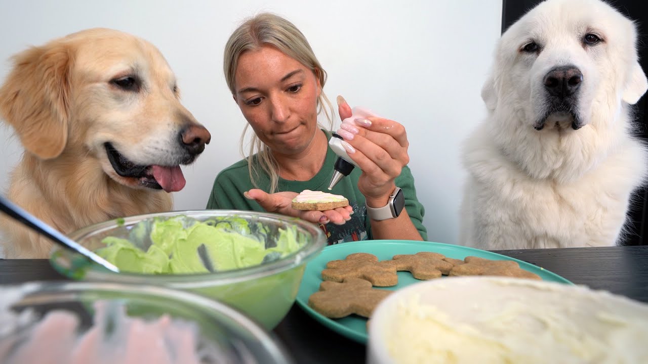 EASY DOG FRIENDLY CHRISTMAS SUGAR COOKIE RECIPE