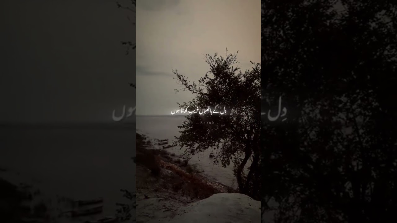 ℒ𝒾𝓃ℯ'𝓈 🖤 #truelines #truelinepoetryurdu #urducouplets #hindipoetryurdulines