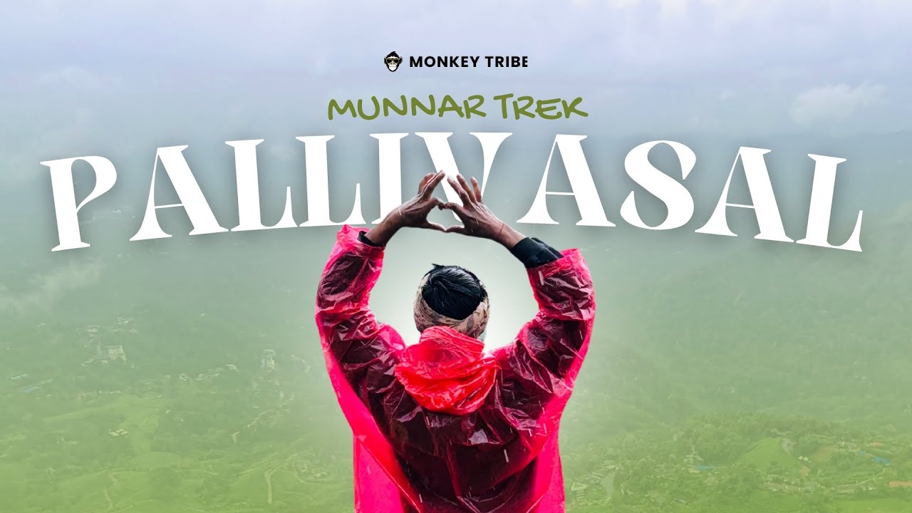 Pallivasal Trek | Hidden Trails of Munnar You&rsquo;ve Never Seen!