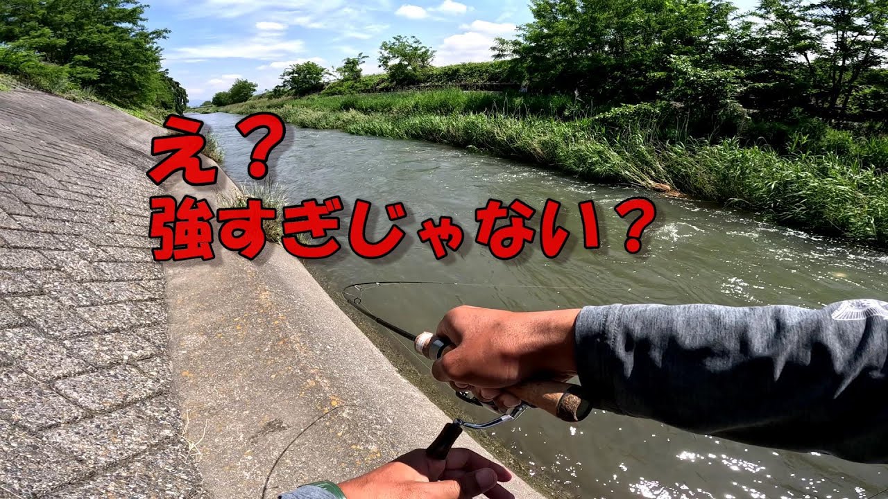 引きの強さがレベチンボー【渓流ルアー】