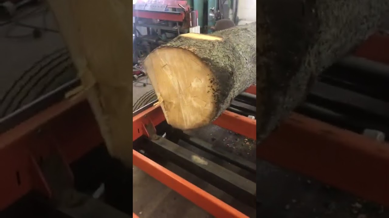 Log turner