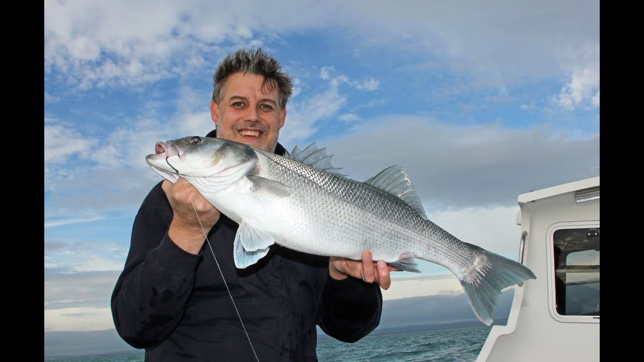 Bass Fishiing Secrets - Part 1, Floatfishing livebaits, live sandeel & crab &lsquo;n' squid wraps