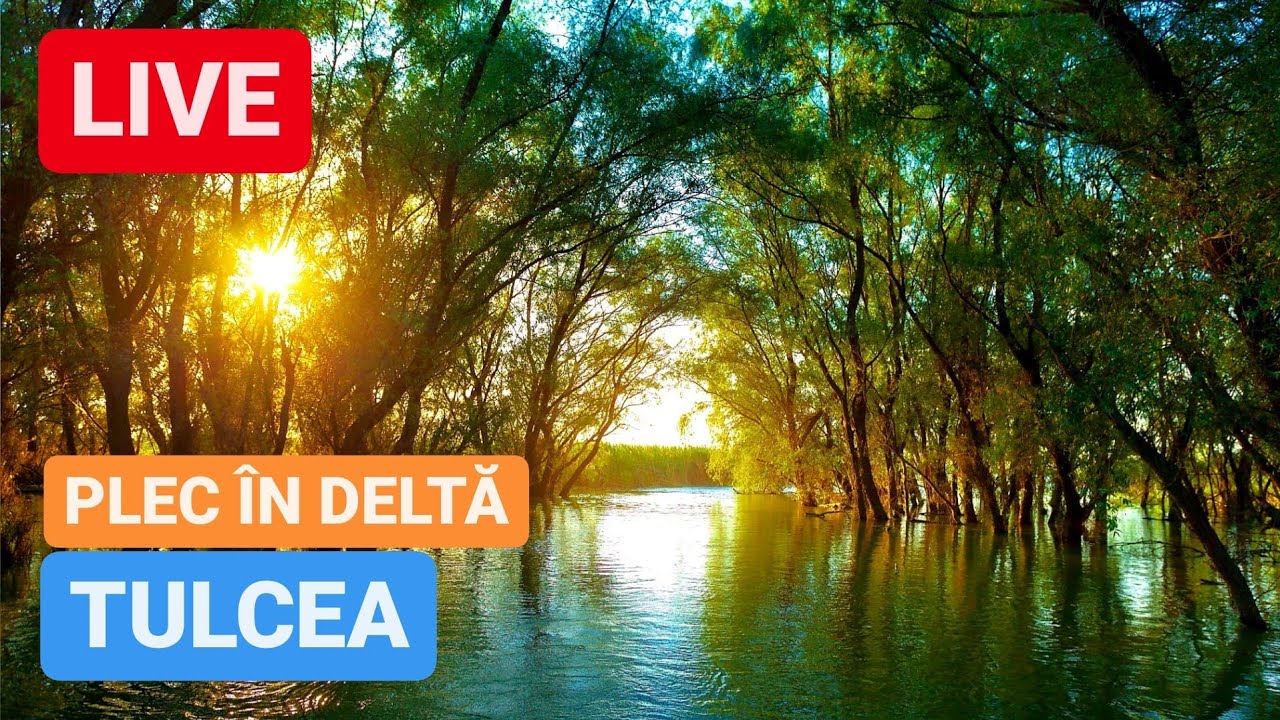 🔴 TULCEA LIVE - PLEC în DELTA DUNĂRII, vezi drumul cu barca pana acolo!