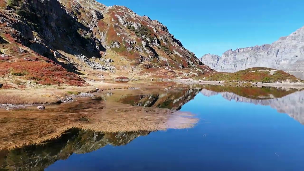 GENIAL - HASLITAL