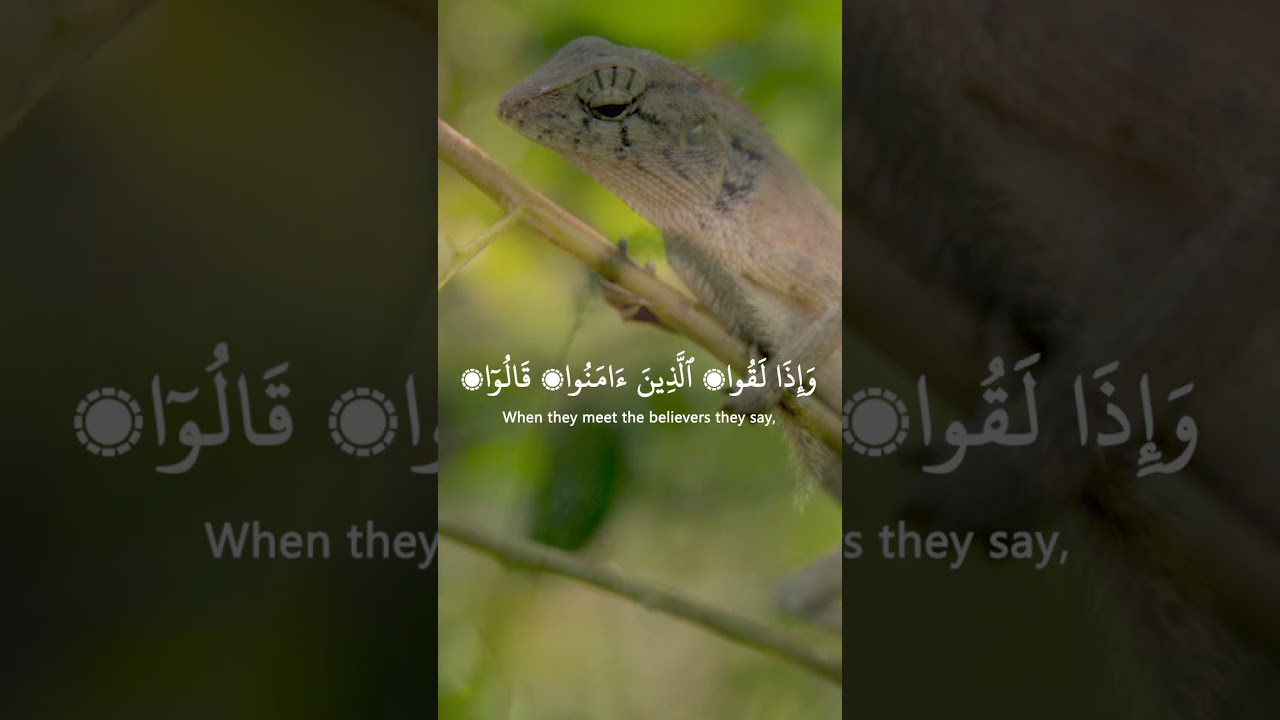 Listen Quran Daily | Episode 24