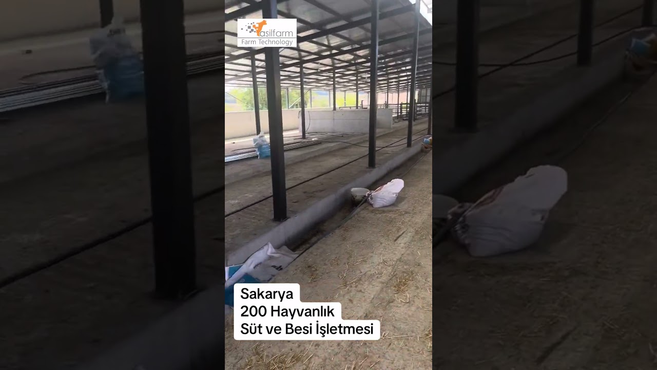 Sakarya Kaynarca 200 Hayvanlık Besi ve Süt İşletmesi 