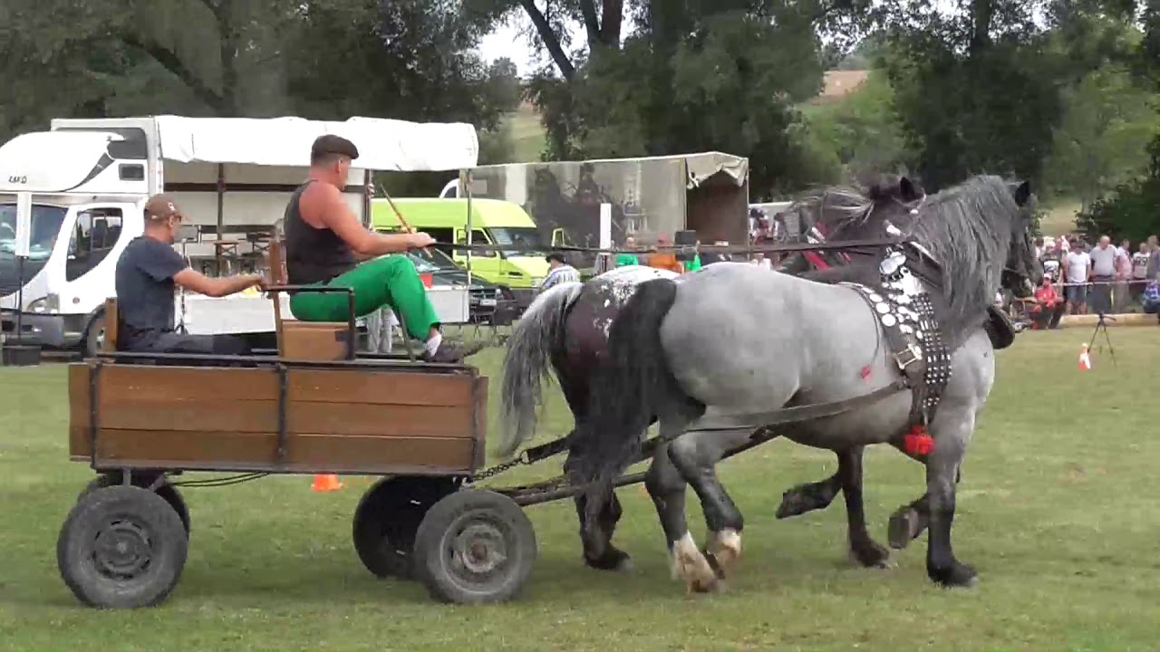 Furmanské preteky Velušovce 2018
