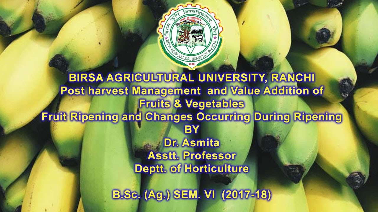 Fruit Ripening and Changes Occurring During Ripening ! Dr. Asmita