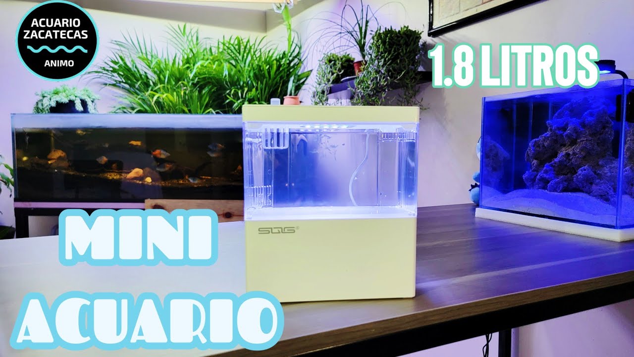 MINI ACUARIO DE 1.8 LITROS  😲