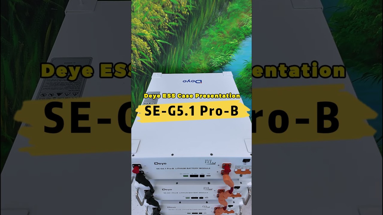 SE-G5.1 Pro-B#deye #lifepo4battery