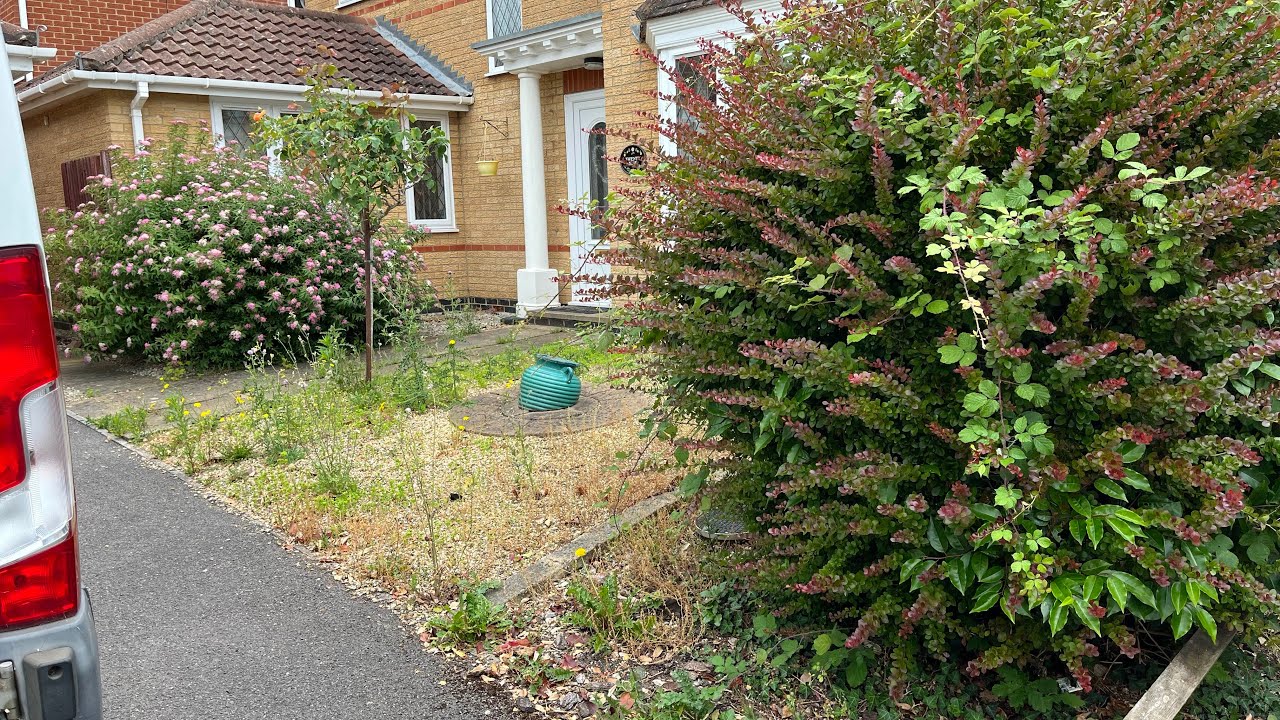 Homeowners Front & Rear Yard being Taken Over by Weeds! (Garden Tidy up)