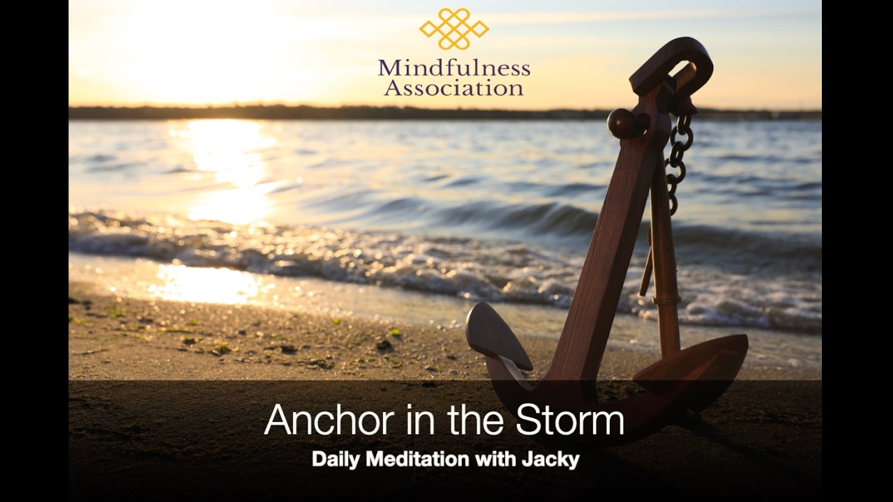 Daily Meditation   Anchor in the Storm   Jacky Seery