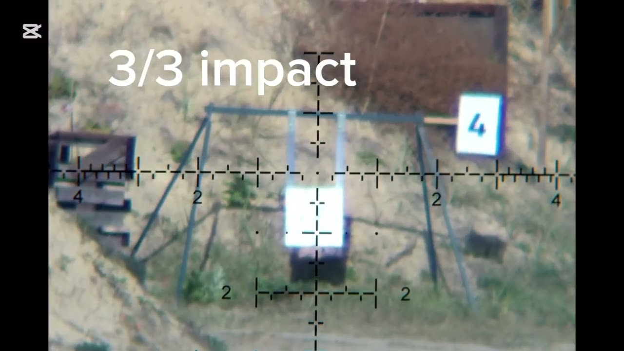 22lr at 200-500m. King Of 22lr/ Prince of 22lr.
